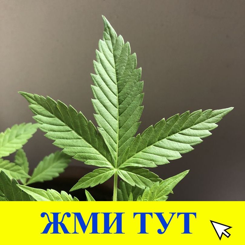 Купить наркотики в Кыштыме